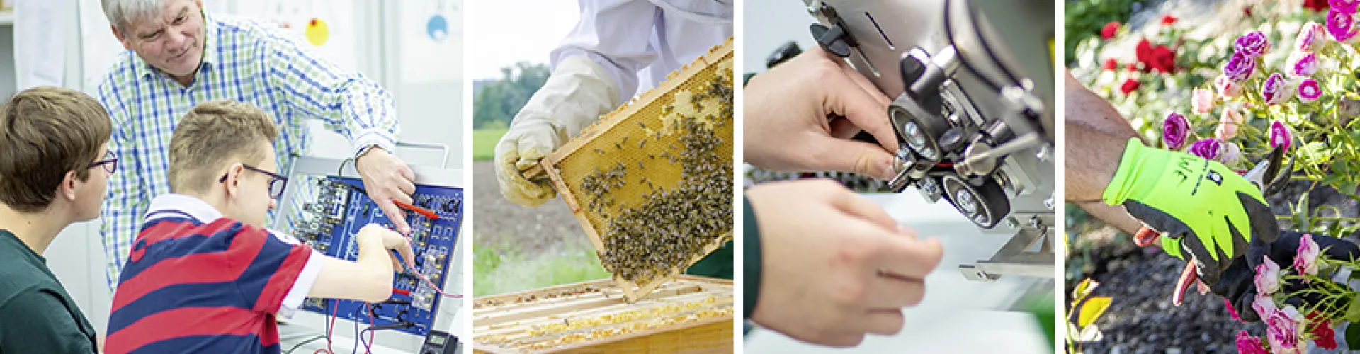 Unternehmensverbund Mainfränkische cover