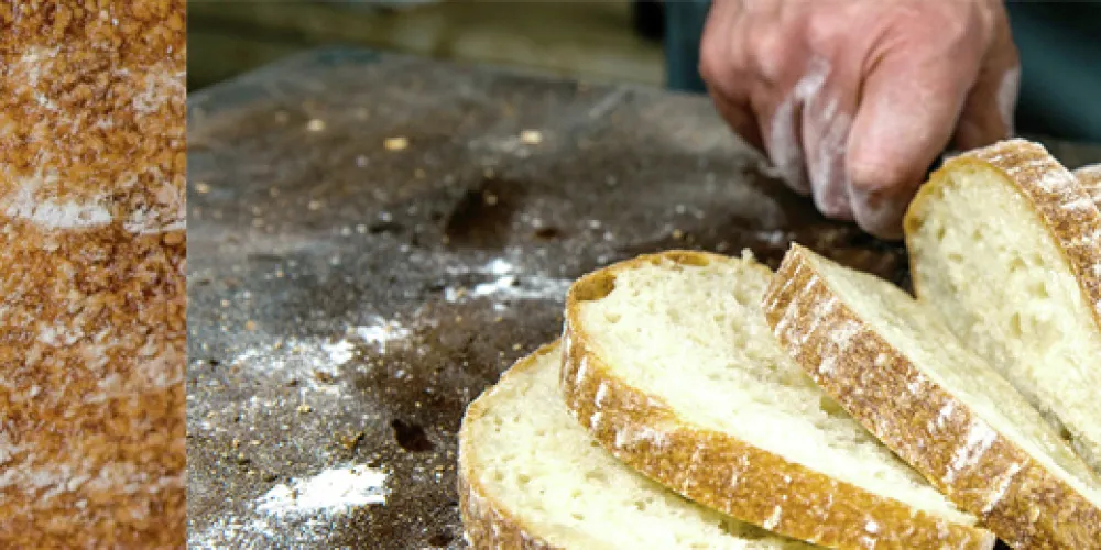 Dölgers Handwerksbackstube GmbH