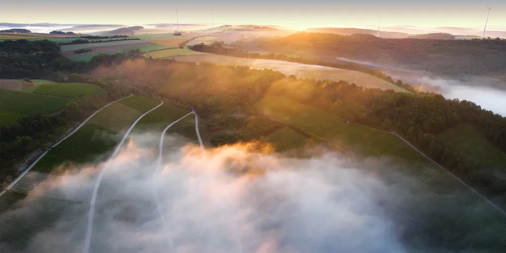 Winzergemeinschaft Franken eG (GWF)